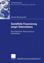 Gestaffelte Finanzierung Junger Unternehmen