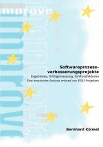 Softwareprozessverbesserungsprojekte