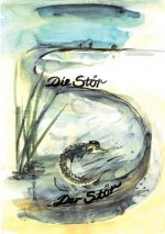 Stoer Der Stoer