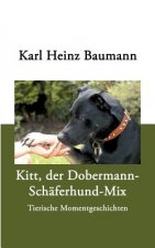Kitt, der Dobermann-Schaferhund-Mix