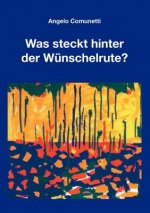 Was steckt hinter der Wunschelrute?