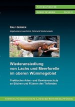 Wiederansiedlung von Lachs und Meerforelle im oberen Wummegebiet