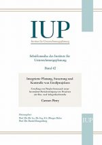 Integrierte Planung, Steuerung und Kontrolle von Grossprojekten