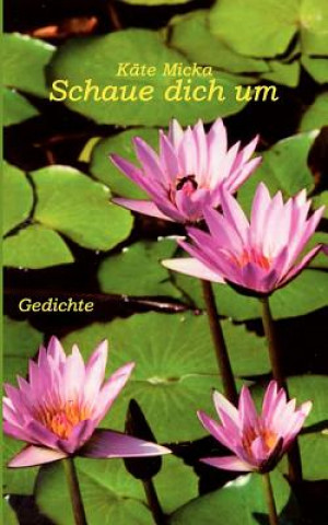 Schaue dich um