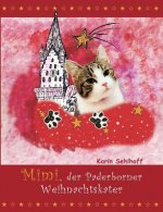 Mimi, der Paderborner Weihnachtskater