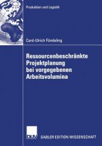 Ressourcenbeschrankte Projektplanung Bei Vorgegebenen Arbeitsvolumina