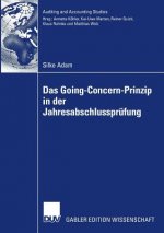 Das Going Concern Prinzip in Der Jahresabschlusspr fung