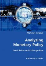 Analyzing Monetary Policy
