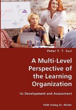 Multi-Level Perspective of the Learning Organization