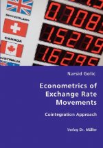 Econometrics of Exchange Rate Movements