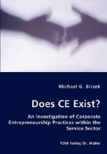 Does CE Exist? - An Investigation of Corporate Entrepreneurship Practices within the Service Sector