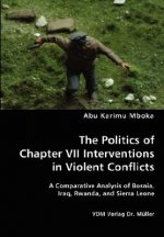 Politics of Chapter VII Interventions in Violent Conflicts