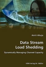 Data Stream Load Shedding - Dynamically Managing Channel Capacity