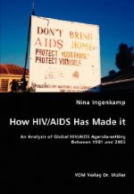 How HIV/AIDS Has Made it - An Analysis of Global HIV/AIDS Agenda-setting Between 1981 and 2002