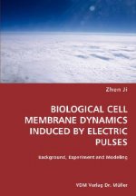 BIOLOGICAL CELL MEMBRANE DYNAMICS INDUCED BY ELECTRIC PULSES- Background, Experiment and Modeling