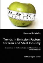 Trends in Emission Factors for Iron and Steel Industry - Assessment of Methodologies and Calculation on Different Scales