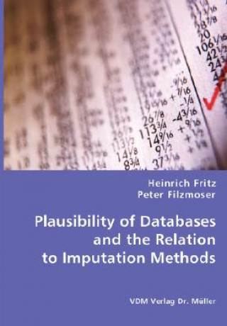 Plausibility of Databases and the Relation to Imputation Methods