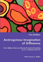 Androgynous Imagination of Difference