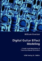 Digital Guitar Effect Modeling