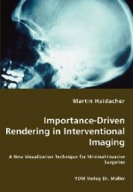 Importance-Driven Rendering in Interventional Imaging - A New Visualization Technique for Minimal-Invasive Surgeries