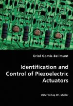 Identification and Control of Piezoelectric Actuators