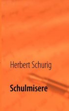 Schulmisere