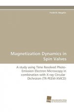 Magnetization Dynamics in Spin Valves