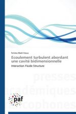 Ecoulement Turbulent Abordant Une Cavite Bidimensionnelle