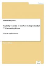 Market potential of the Czech Republic for IT Consulting firms