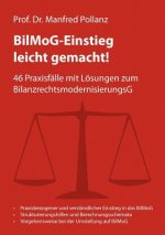 BilMoG-Einstieg leicht gemacht!