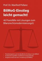 BilMoG-Einstieg leicht gemacht!