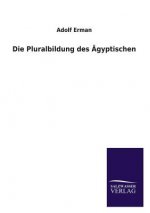 Pluralbildung Des Agyptischen