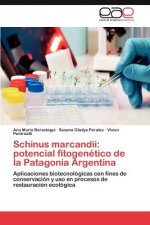 Schinus Marcandii