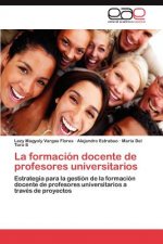 Formacion Docente de Profesores Universitarios