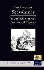 Plage der Seewurmer in den Pfahlen an den Deichen und Dammen