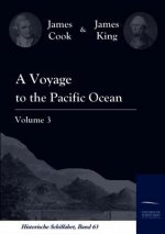 Voyage to the Pacific Ocean Vol. 3