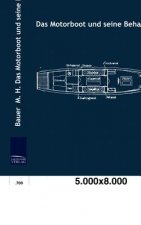 Motorboot und seine Behandlung