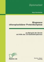 Biogenese chloroplastidarer Proteinkomplexe am Beispiel der Gerste mit Hilfe der 2-D-Gelelektrophorese
