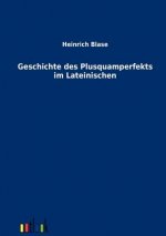 Geschichte des Plusquamperfekts im Lateinischen