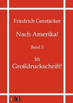 Nach Amerika!
