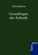 Grundfragen der AEsthetik