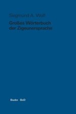 Grosses Woerterbuch der Zigeunersprache (romani tsiw) / Grosses Woerterbuch der Zigeunersprache (romani tsiw)