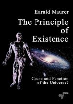 Principle of Existence