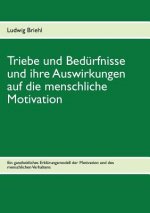 Triebe und Bedurfnisse und ihre Auswirkungen auf die menschliche Motivation