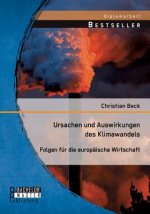 Ursachen und Auswirkungen des Klimawandels