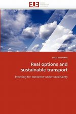 Real options and sustainable transport
