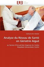 Analyse du reseau de sante en geriatrie aigue