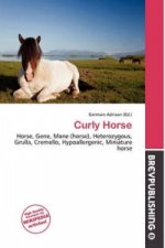 Curly Horse