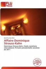 Affaire Dominique Strauss-Kahn