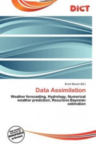 Data Assimilation